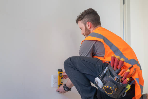 Best Electric Panel Repair  in Lockport, IL